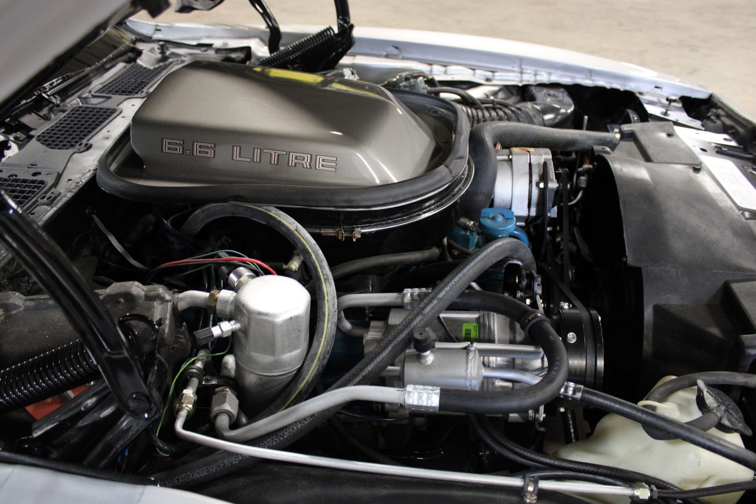 1979 Pontiac Trans Am